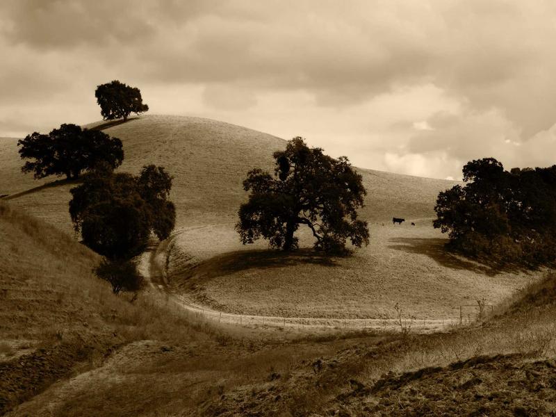 sudoku color sudoku screenshot 2