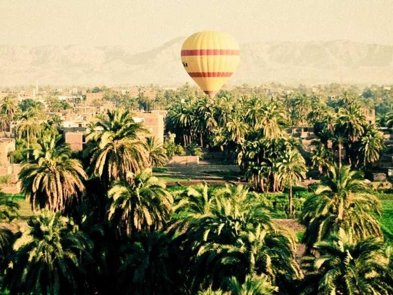 sudoku color sudoku screenshot 5