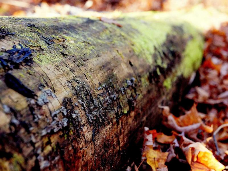 sudoku problem solving screenshot 5